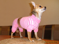 Одежда для собак, вязанные комбинезоны для декоративных пород собак